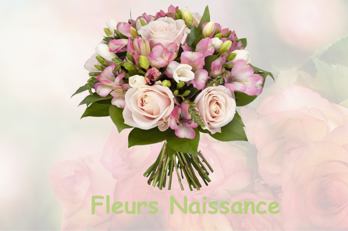 fleurs naissance MONTGAZIN