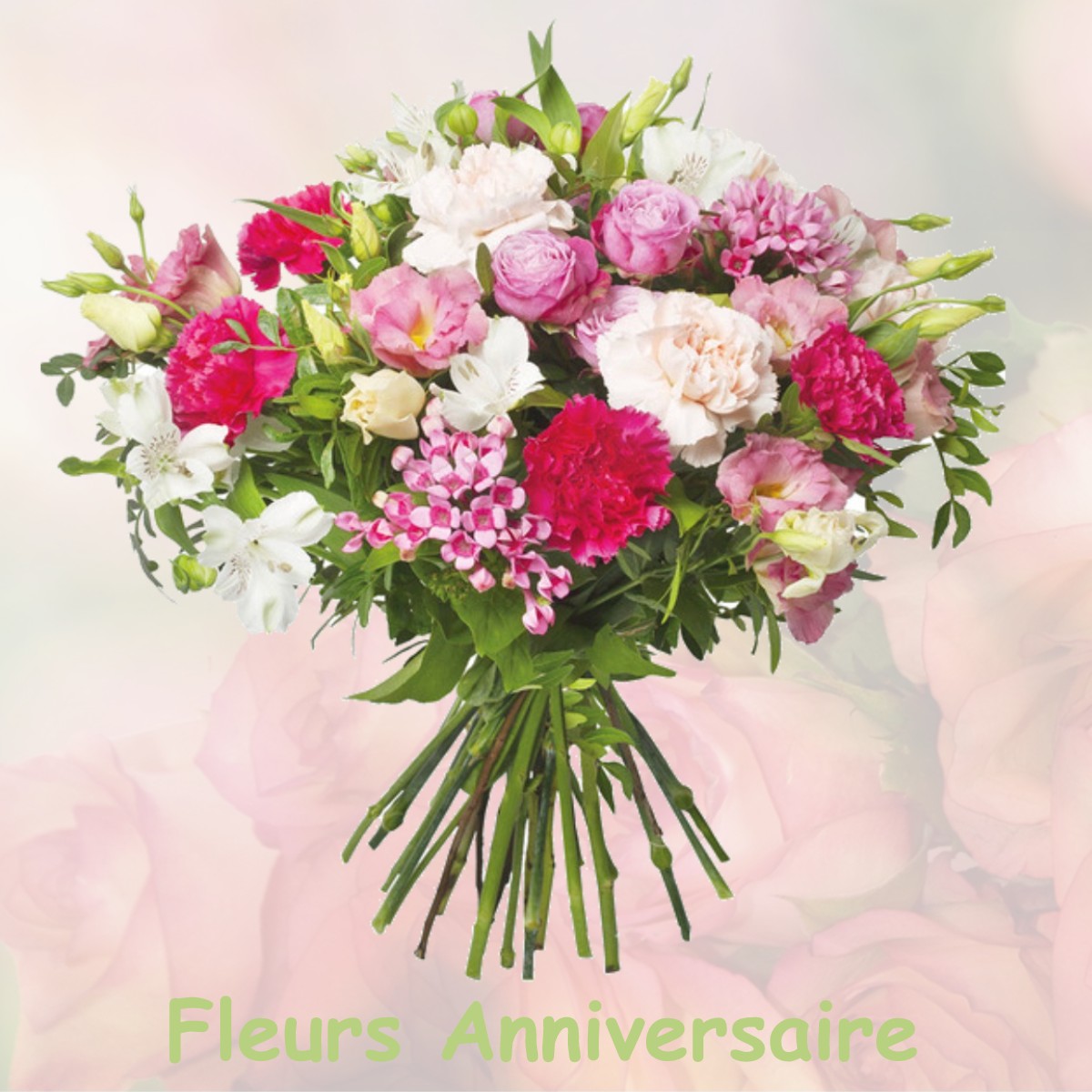 fleurs anniversaire MONTGAZIN