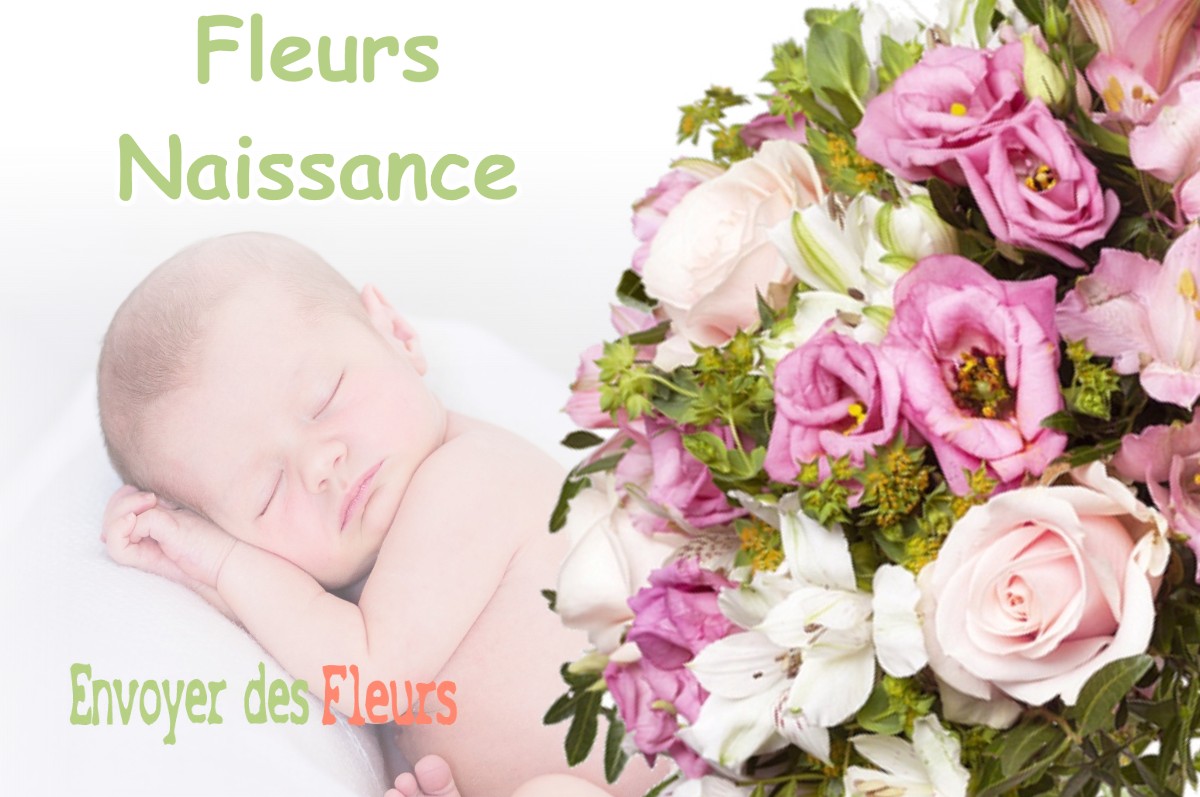 lIVRAISON FLEURS NAISSANCE à MONTGAZIN